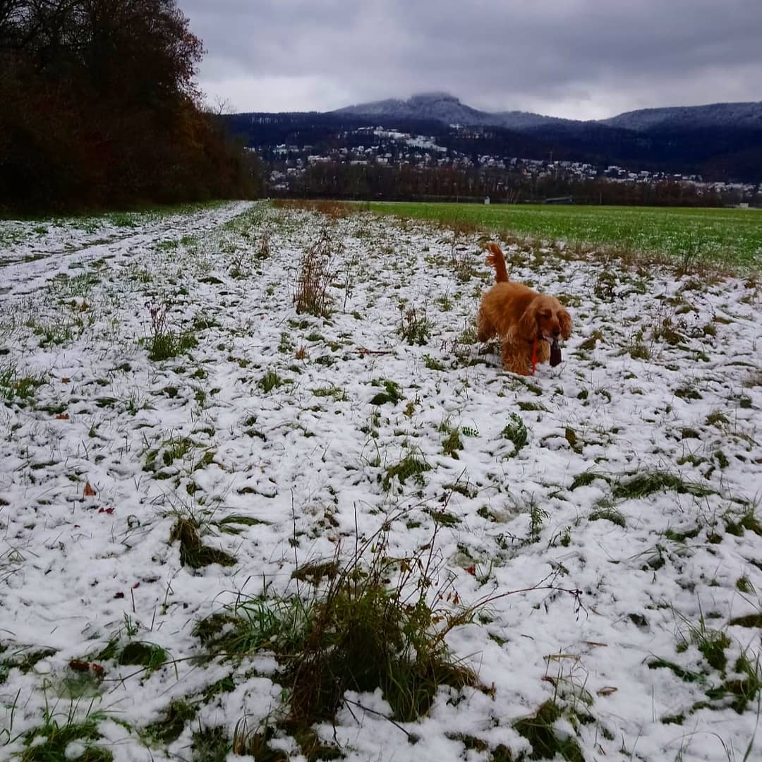 128363704_230737818481687_7265524007935233791_o