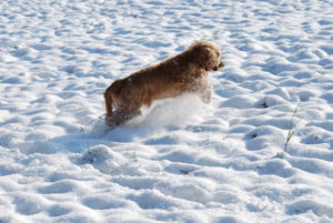 0D77E79B-45B2-42FA-AA5A-370CA6C52956