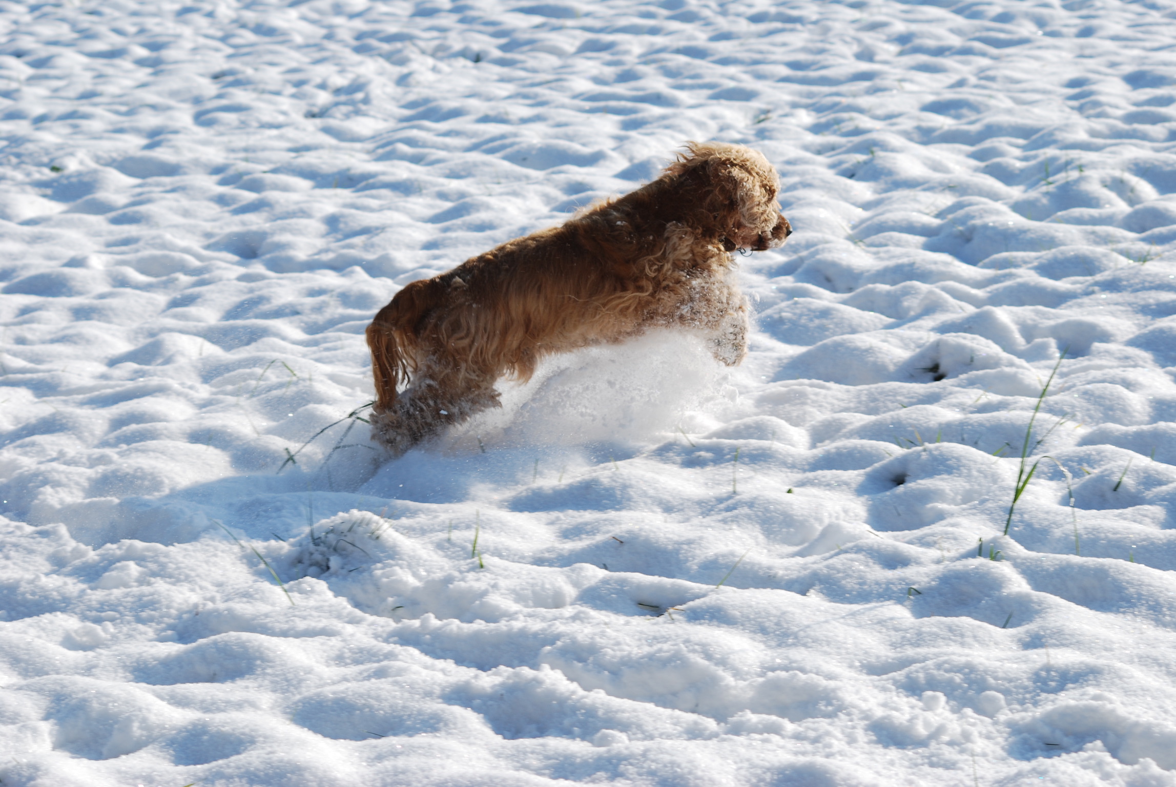 0D77E79B-45B2-42FA-AA5A-370CA6C52956