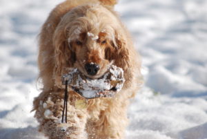 56768907-9371-41B1-A6FD-DC14761503D4