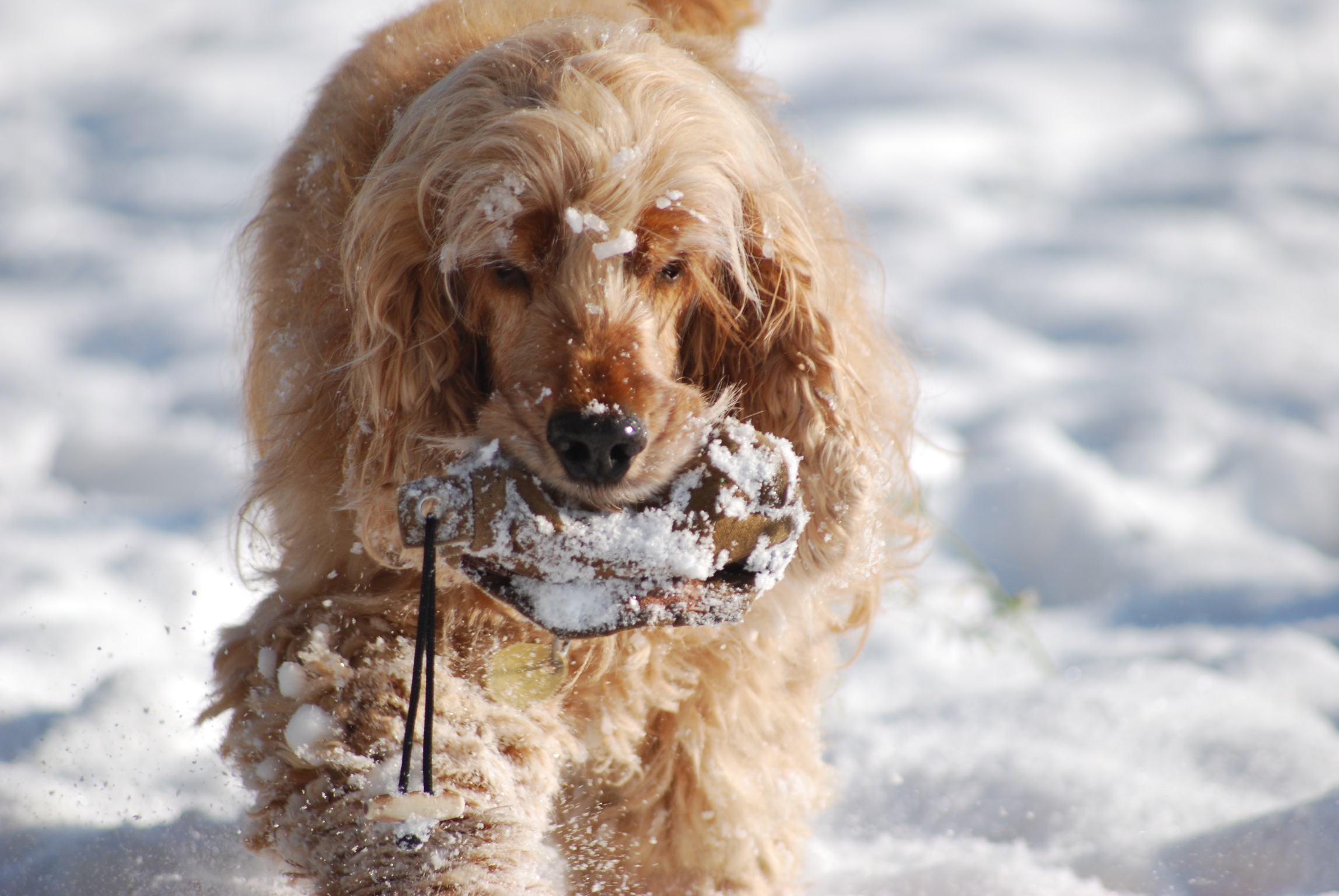 56768907-9371-41B1-A6FD-DC14761503D4