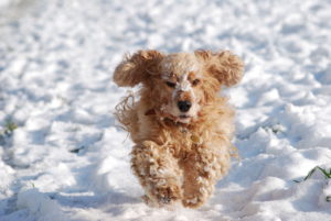 5707000E-1AD1-4EFF-A70E-28688070FB40