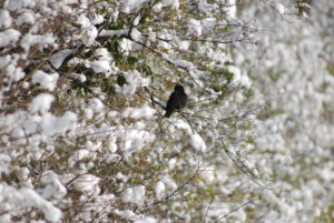 6240C47E-AF7C-4E56-AD01-C44B3327A759