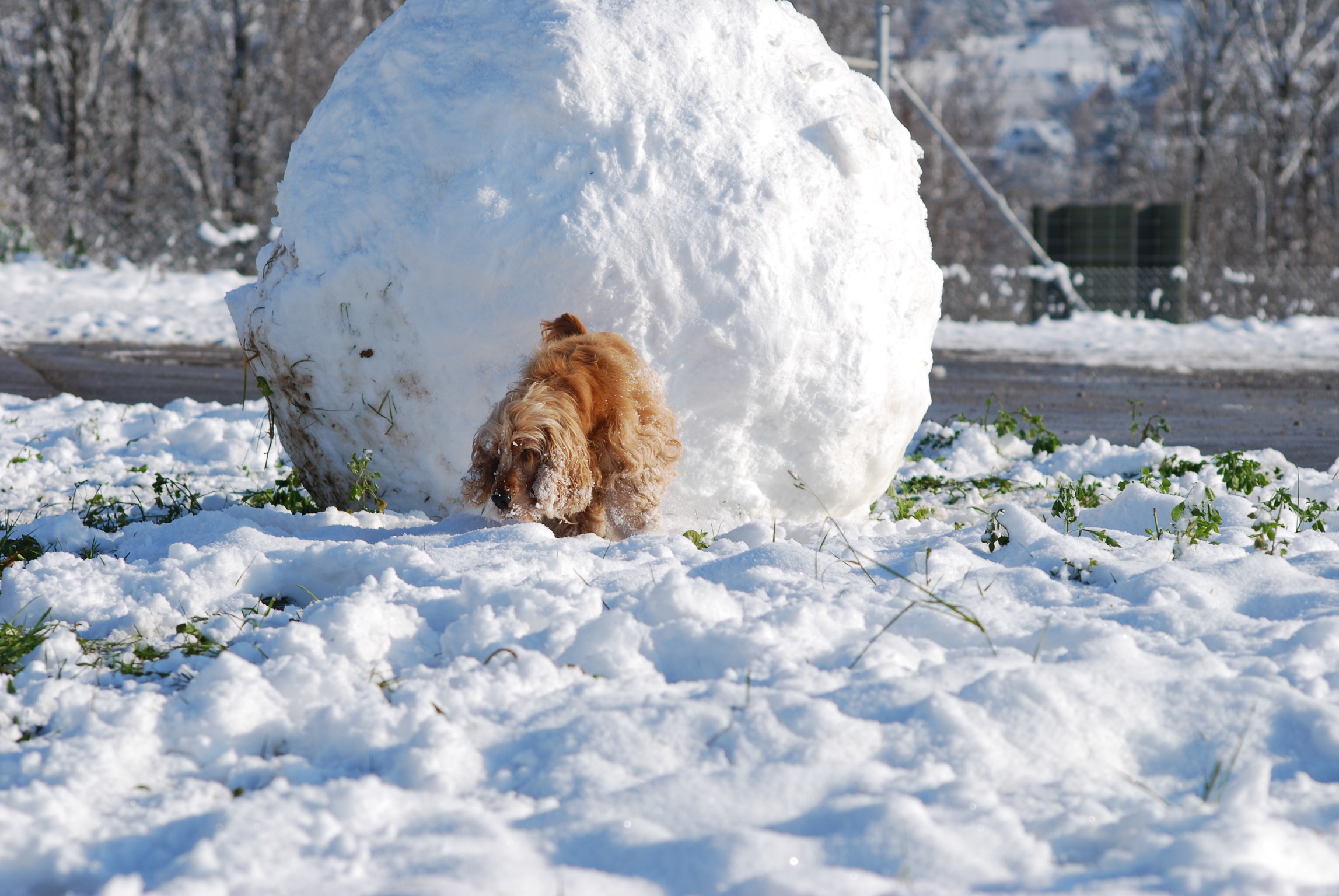 6D93CF66-A7E3-42D3-8915-2BD82B33F7A5