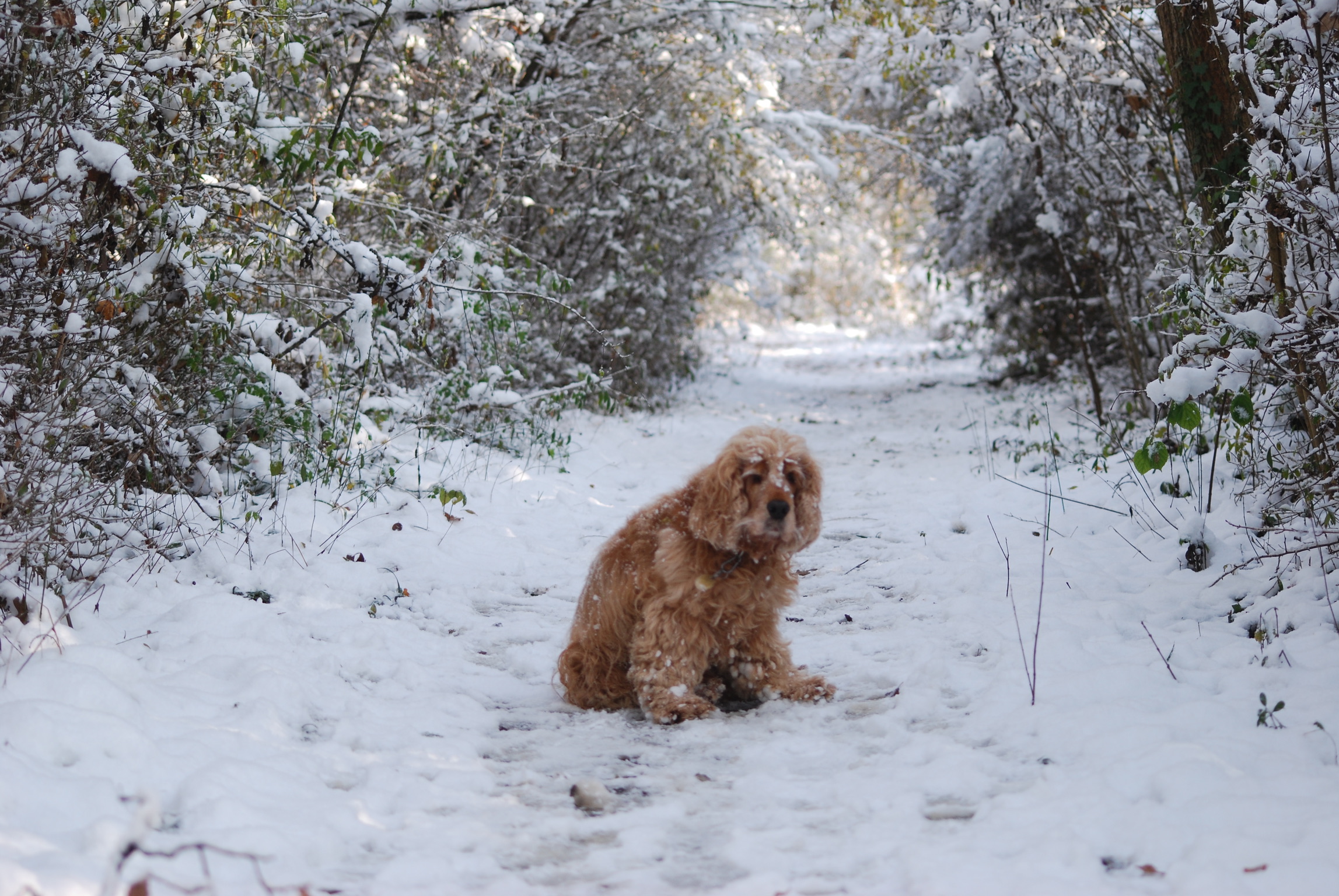 7AF2AE2A-F5F2-45FE-BAA4-92EFB69DD98A