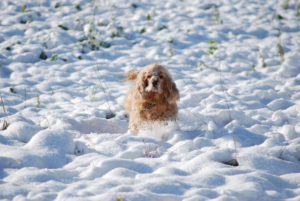 8E88741B-0512-4D86-B1EF-3B52E978C1B4