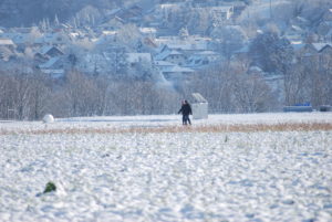 9CB8DD50-FF3E-40C8-951C-D72018DE5939