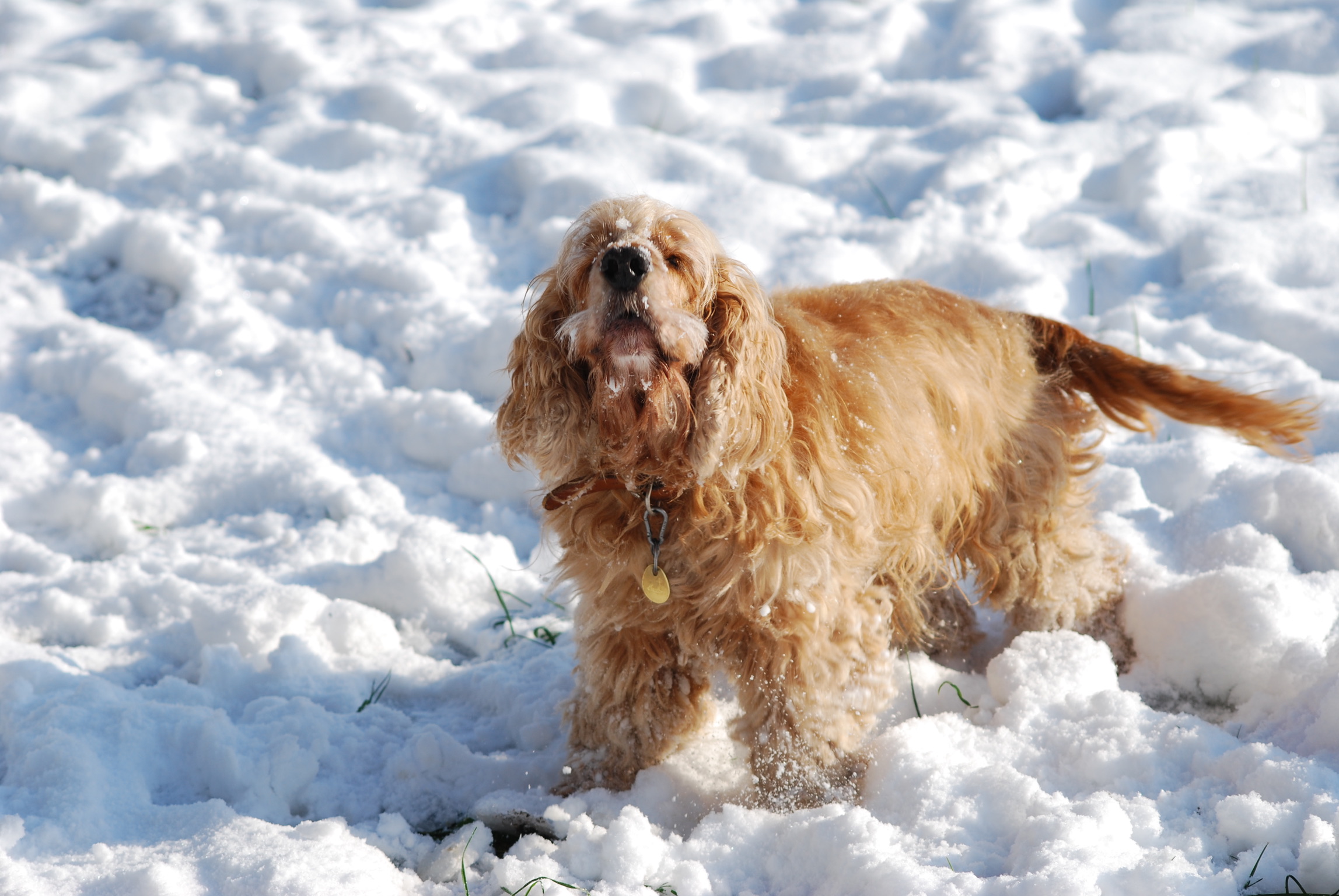 9E64C3EA-5201-48AA-9108-7E4E67E5A2E7