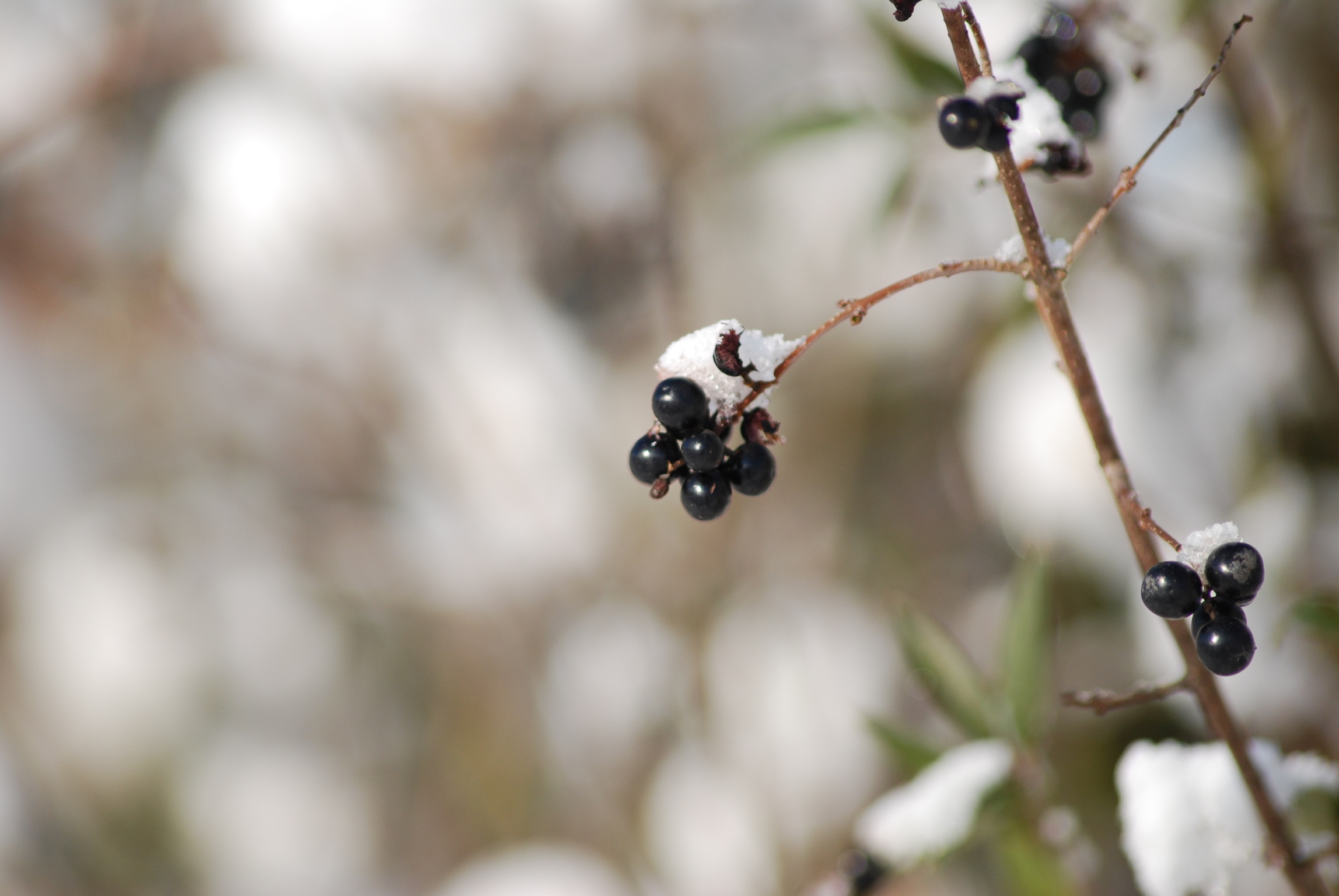 A64F6514-8CD9-4052-9815-449C2ACBD128