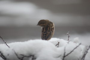 A7BD08A2-39D3-4110-83AB-94CD533457FC