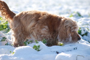 BC01817D-B32D-4922-8950-9098A80C27FC