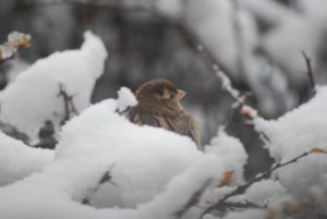 BE4E5540-6E7C-411B-9B75-BAB2A0DF602D