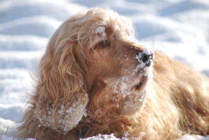 CAD9446D-23A7-4671-B9A6-B3A86893E391