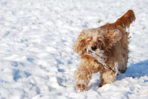 DD6E930F-4D07-45AE-A585-1E7BF897C010