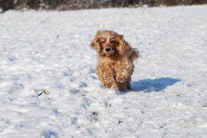 F82B805F-605B-4C74-ACCB-B437F0D949D5