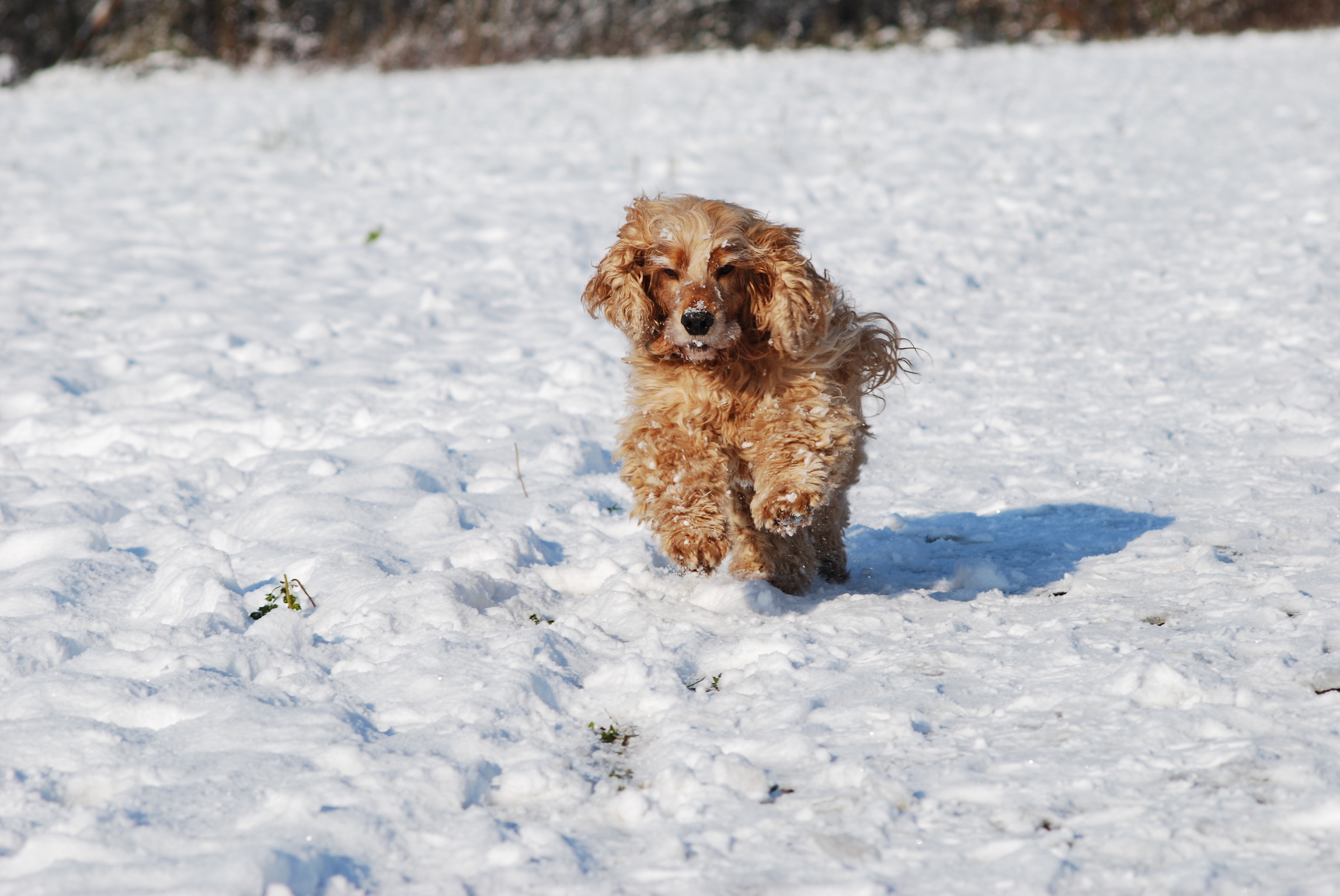 F82B805F-605B-4C74-ACCB-B437F0D949D5